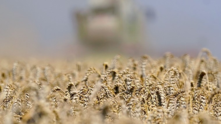 Κύμα ζέστης σαρώνει την Ευρώπη – Ξηρασία και πυρκαγιές – Προσευχές για βροχές