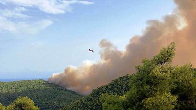 Υπό έλεγχο η μεγάλη φωτιά στη Σκόπελο
