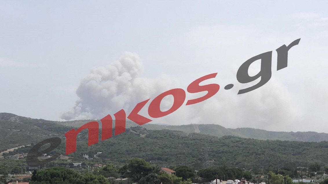 Μεγάλη φωτιά σε πευκοδάσος πάνω από την Κινέτα- ΦΩΤΟ αναγνώστη- ΤΩΡΑ