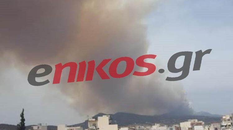 Νέες εικόνες από τη μεγάλη φωτιά σε πευκοδάσος πάνω από την Κινέτα – ΦΩΤΟ αναγνώστη