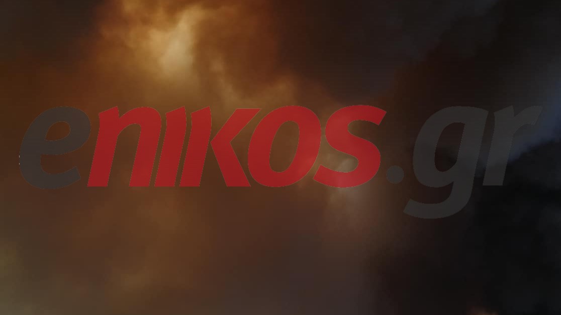 Οι καπνοί από τη φωτιά στην Κινέτα “πνίγουν” τα Μέγαρα  – ΦΩΤΟ αναγνώστη