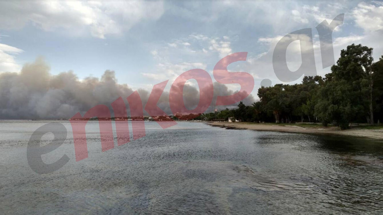 Στην παραλία της Νέας Μάκρης έφτασε η φωτιά – ΦΩΤΟ αναγνώστη