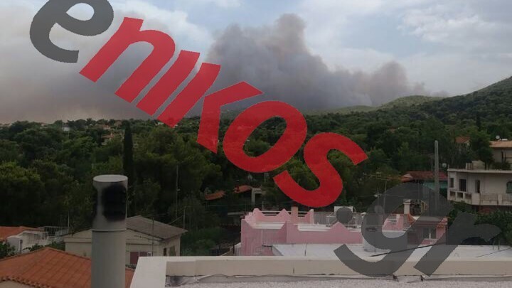 Μέσα από το Λύρειο Ίδρυμα πέρασαν οι φλόγες – ΒΙΝΤΕΟ