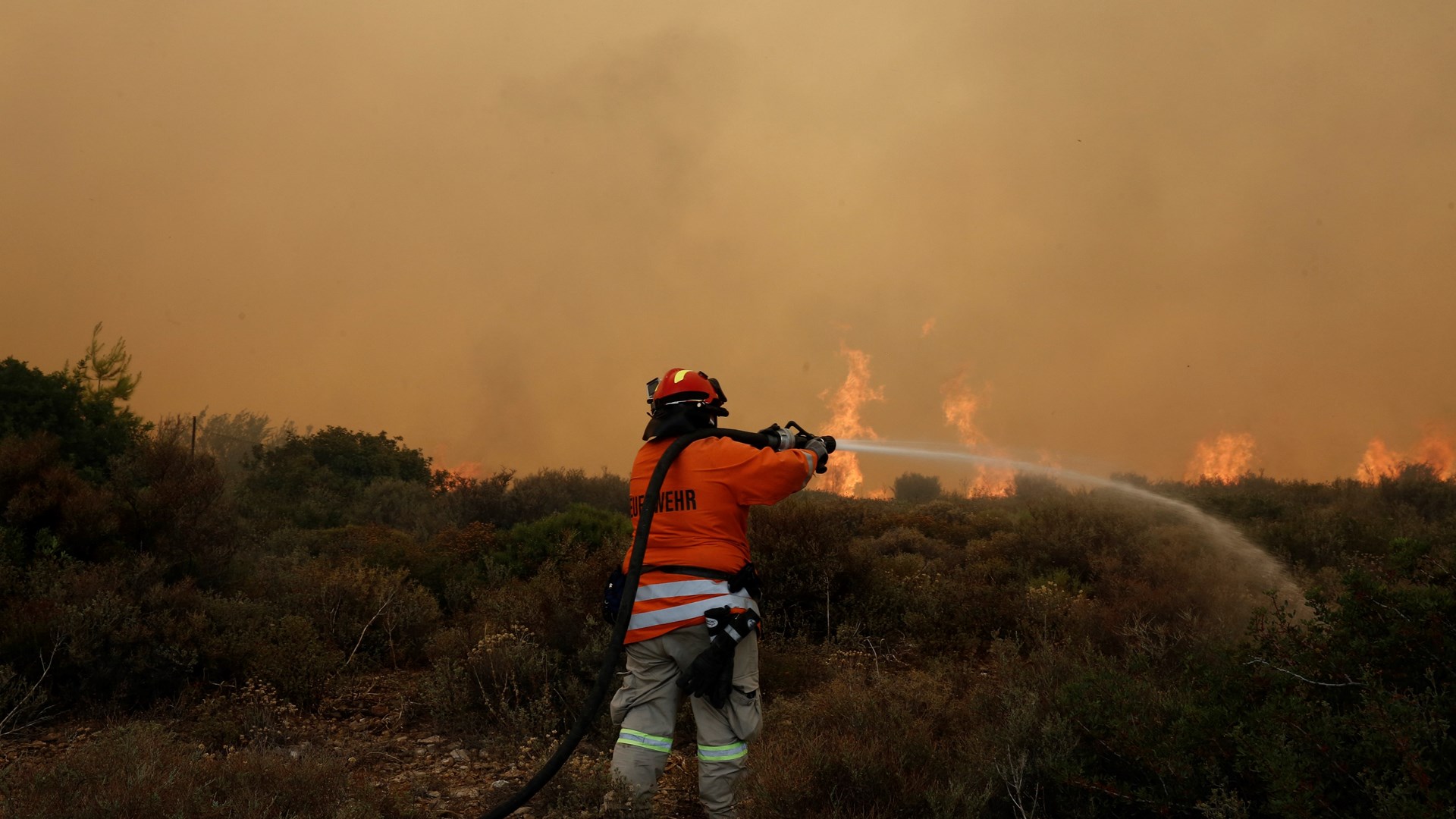 Δήμαρχος Ραφήνας στον ΑΝΤ1: Σίγουρα υπάρχουν και νεκροί – ΒΙΝΤΕΟ