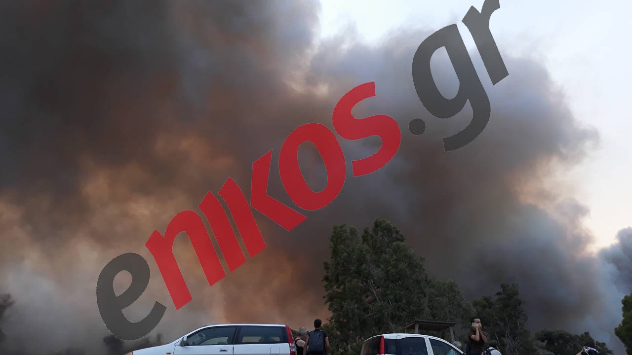 Σε ασφαλή σημεία στην παραλία του Αγίου Ανδρέα τα παιδιά των κατασκηνώσεων του Δήμου Αθηναίων – ΦΩΤΟ