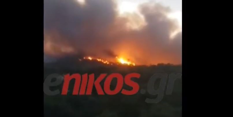 Μήνυμα ακροατή του Realfm για νεκρό από τη φωτιά