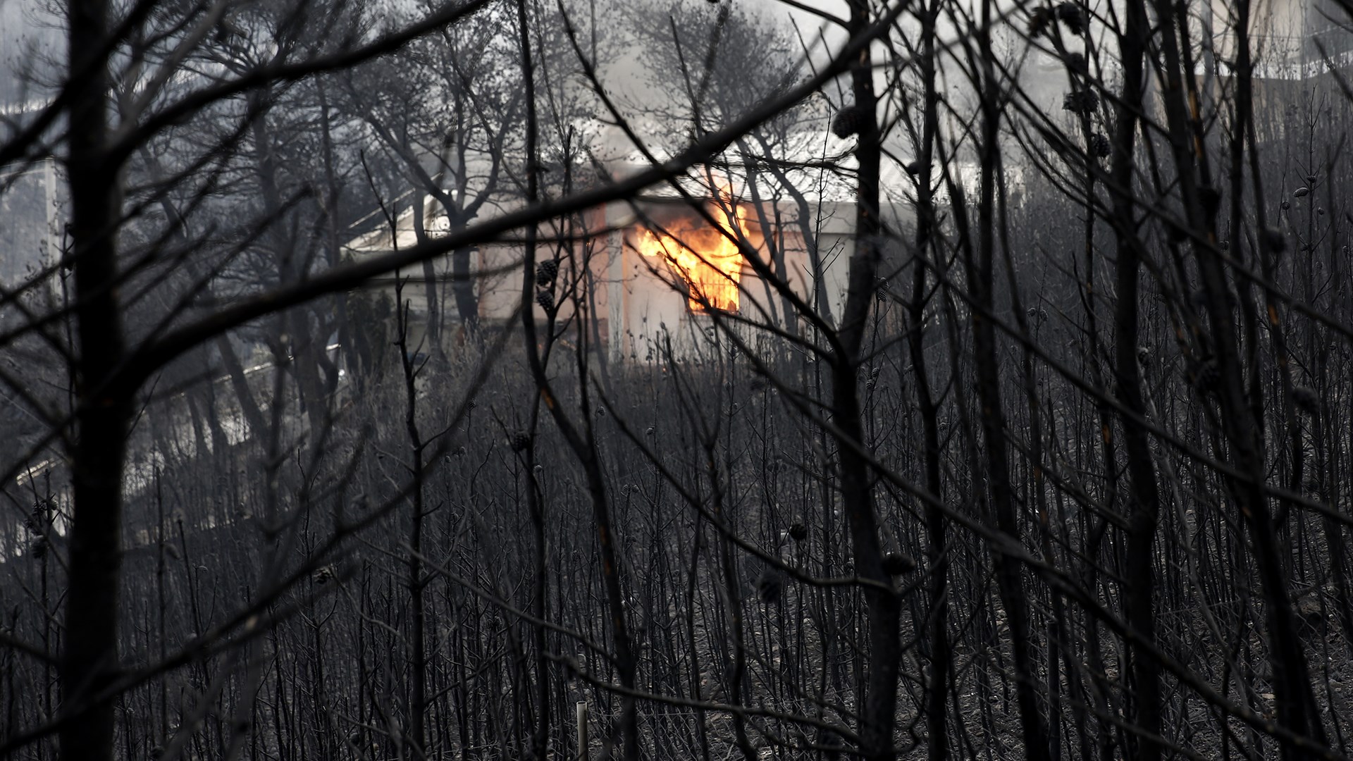 Εισαγγελική παρέμβαση για τις φωτιές – ΤΩΡΑ