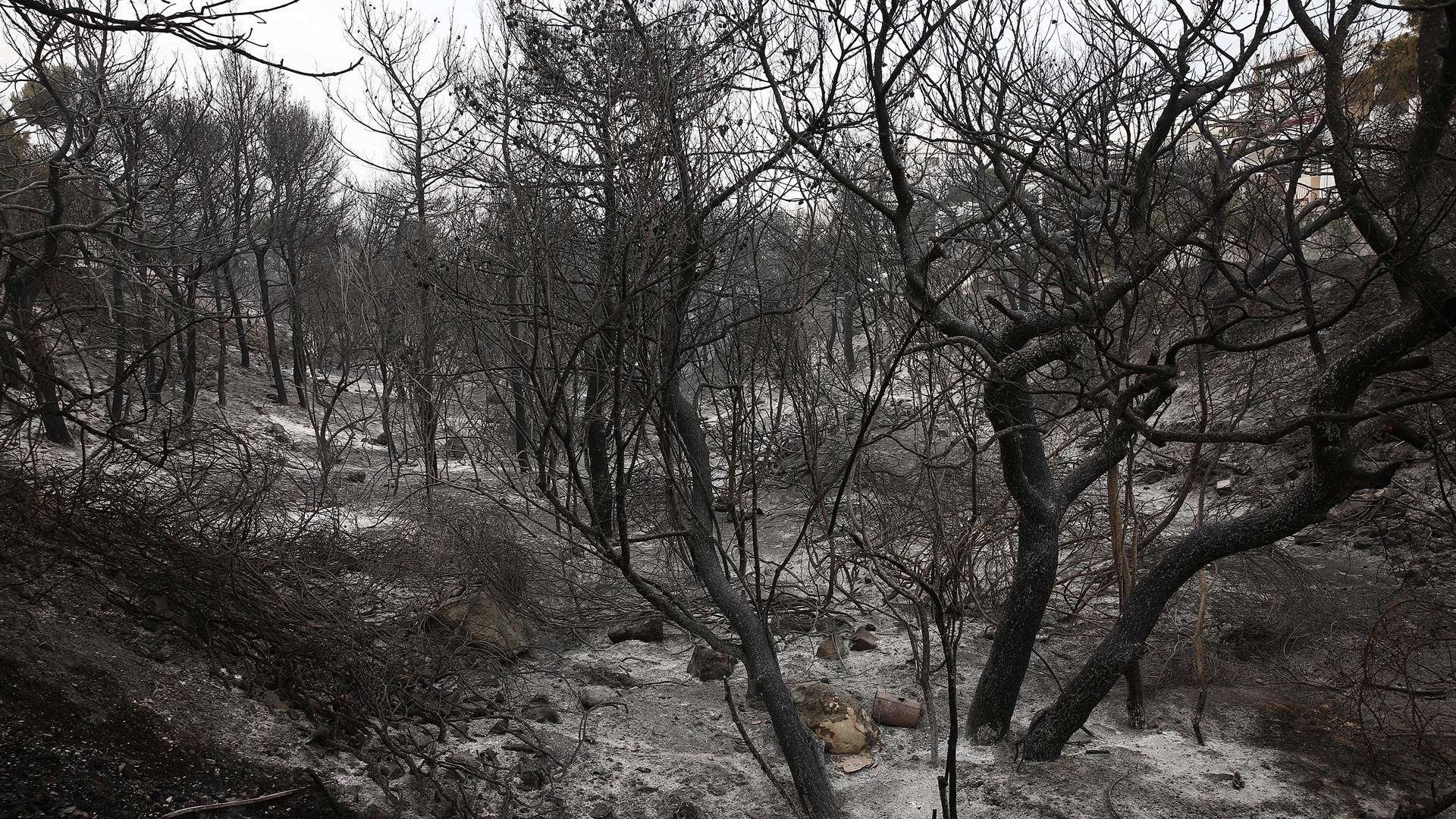 Σκηνικό αποκάλυψης μετά τη φονική πυρκαγιά στην Ανατολική Αττική – Κάηκαν τα πάντα – ΦΩΤΟ