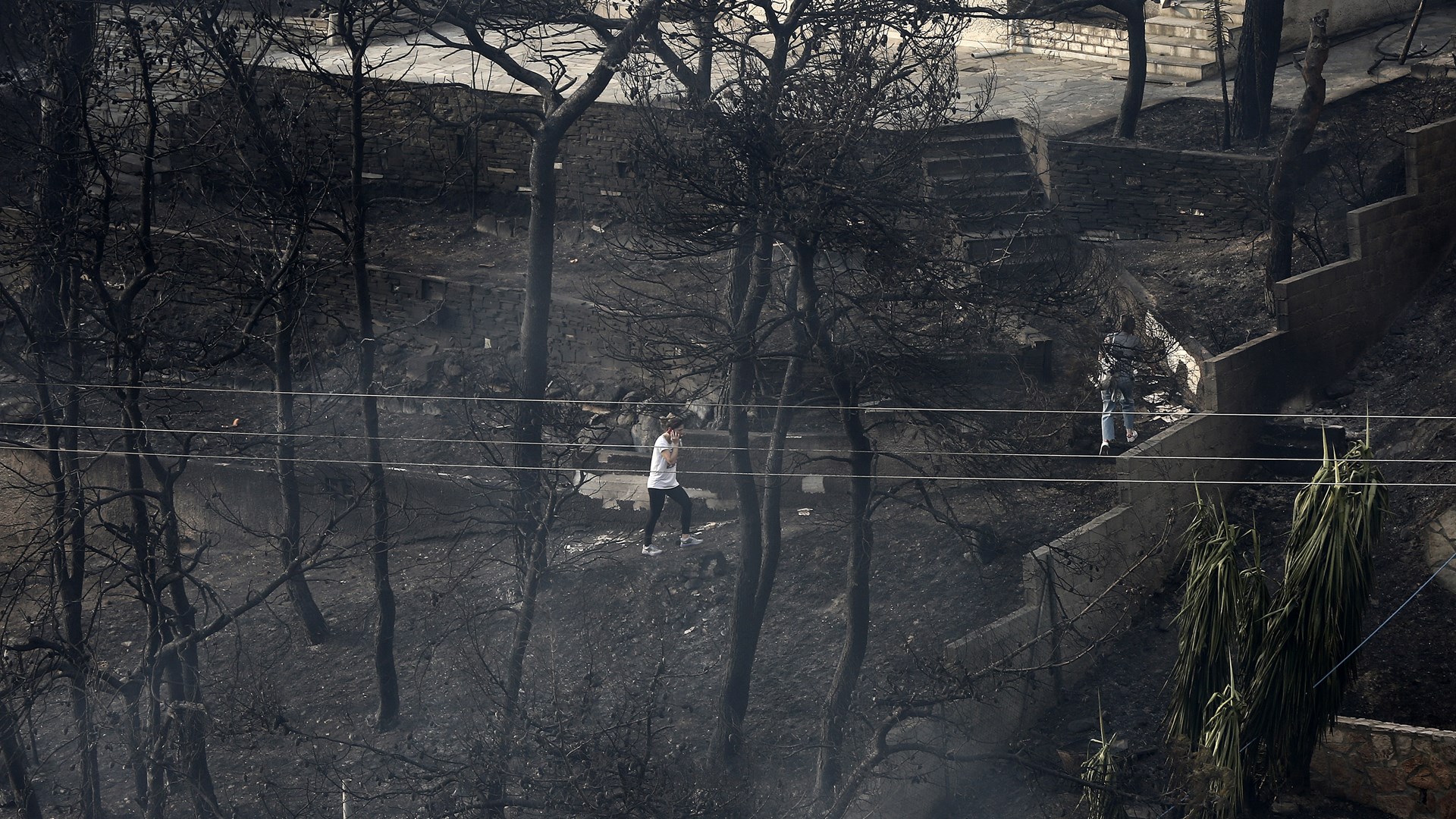 Έκτακτο κάλεσμα από το Εθνικό Κέντρο Αιμοδοσίας για τους εγκαυματίες