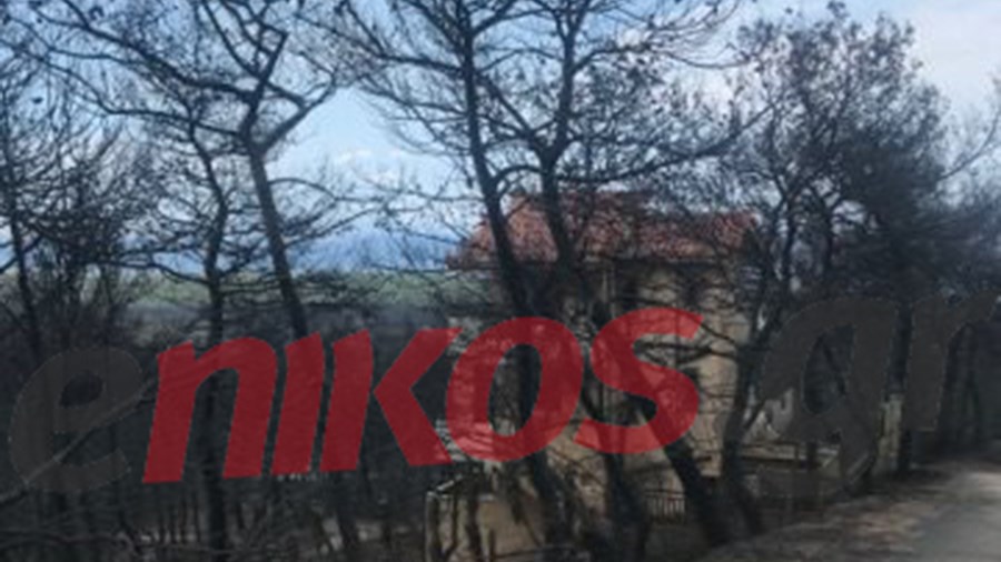 “Κρανίου τόπος” ο Νέος Βουτζάς – Παντού στάχτες και αποκαΐδια – ΦΩΤΟ – ΒΙΝΤΕΟ