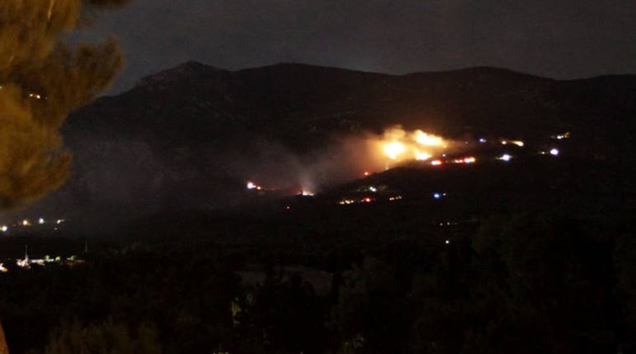 Αλεξανδρούπολη – Υπό μερικό έλεγχο η φωτιά σε πευκοδάσος στη Λευκίμμη