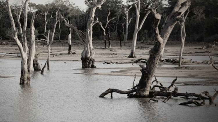 Η Βουλγαρία προειδοποιεί για πλημμύρες τις επόμενες ημέρες στην Ελλάδα