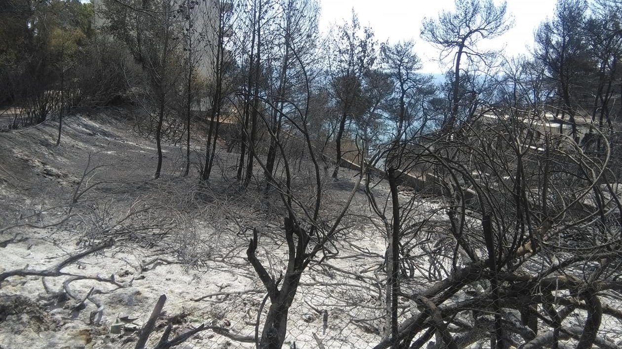 Το συγκινητικό πανό τουρκικής ομάδας για την τραγωδία στην Ελλάδα – ΦΩΤΟ