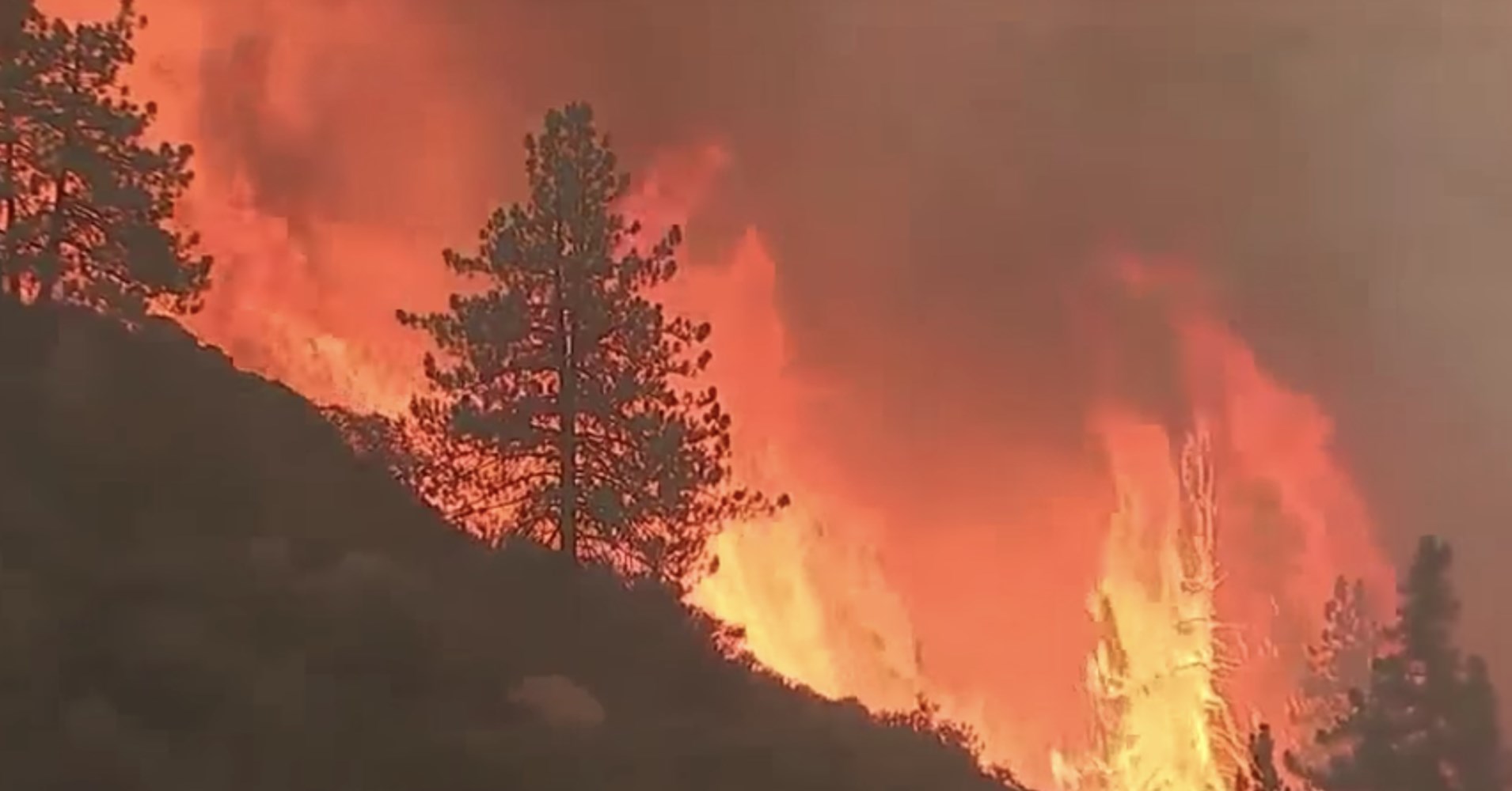 Καλιφόρνια – Χιλιάδες άνθρωποι εγκατέλειψαν τα σπίτια τους εξαιτίας δασικών πυρκαγιών