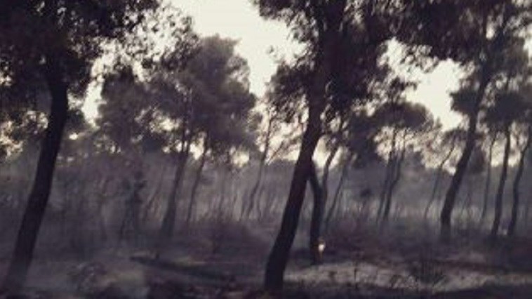 Νέο ΒΙΝΤΕΟ και ΦΩΤΟ από τη φωτιά στο Μάτι – Πώς σώθηκαν οι κατασκηνώσεις