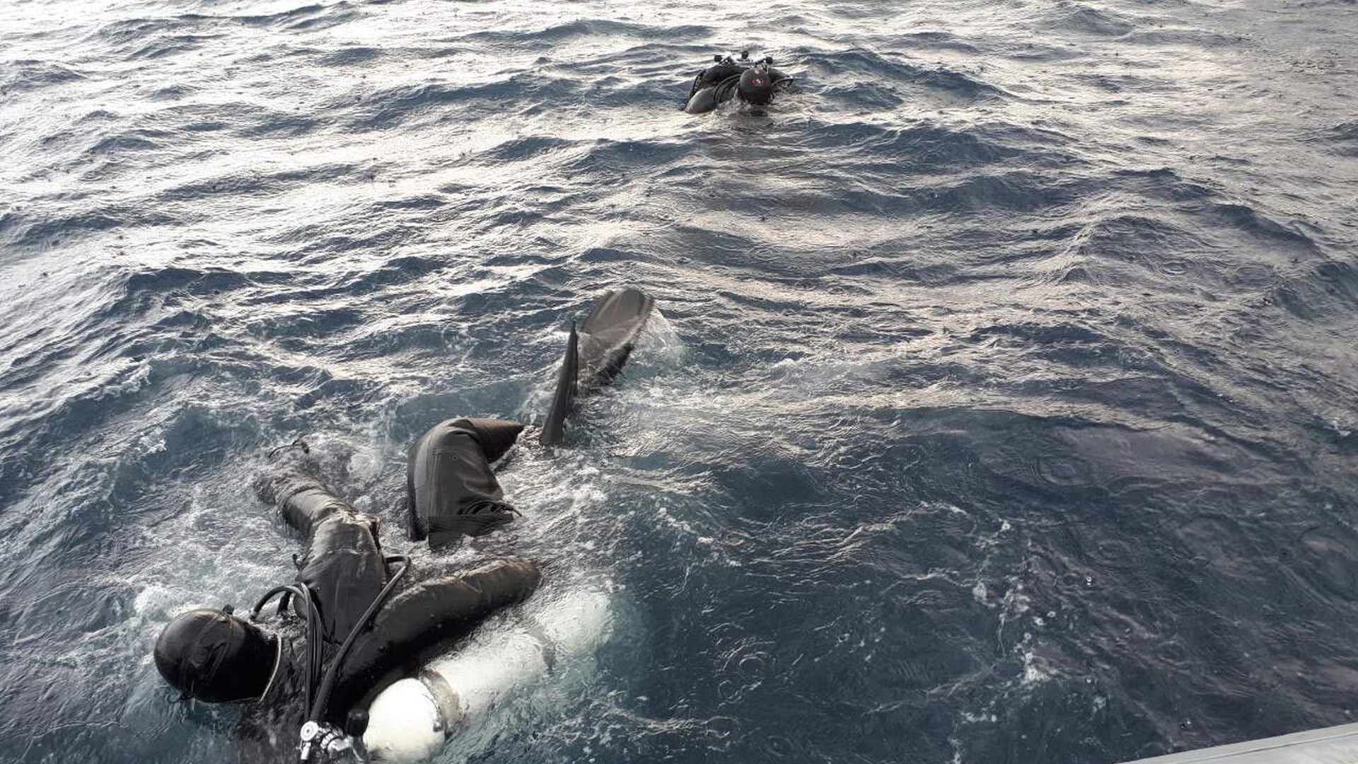 Προσωπικά αντικείμενα των ανθρώπων που έπεσαν στη θάλασσα για να σωθούν περισυλλέγουν οι δύτες που ερευνούν για αγνοούμενους