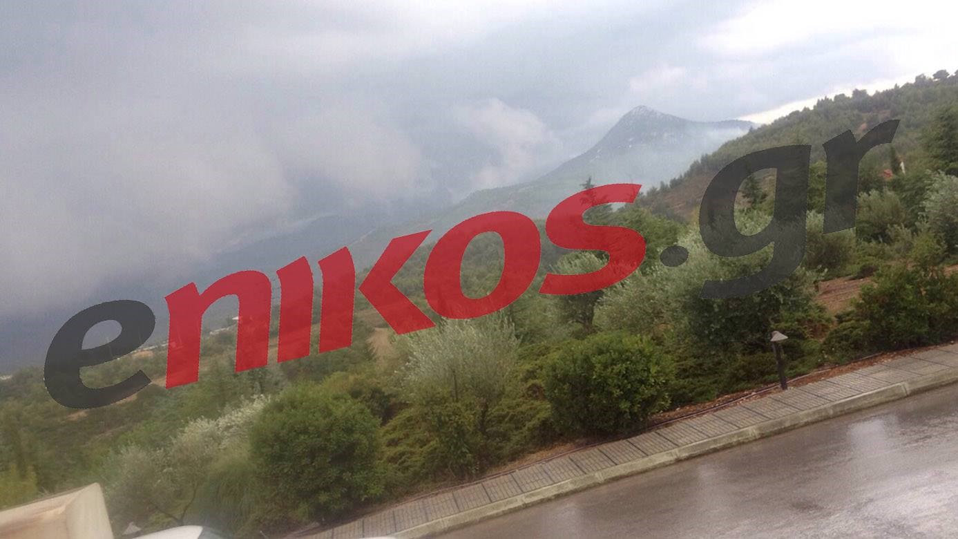 Φωτιά στο Πολυδένδρι – ΦΩΤΟ Αναγνώστη – ΤΩΡΑ