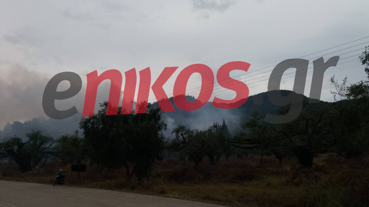 ΦΩΤΟ αναγνώστη από την πυρκαγιά στα Ριζά Πρέβεζας