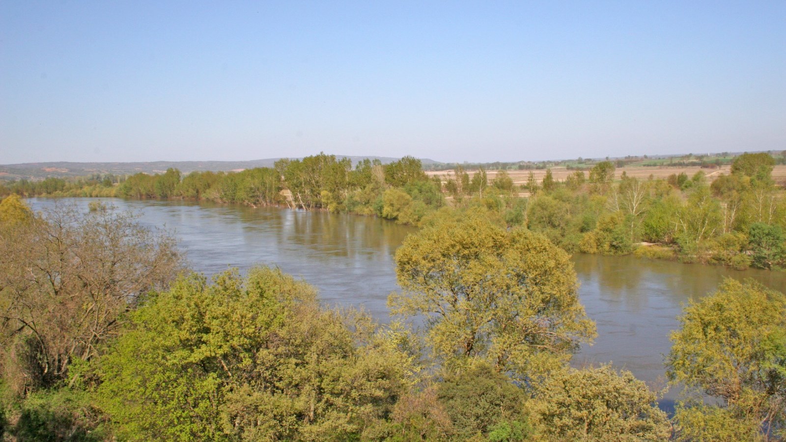 Ανήλικος πρόσφυγας βρέθηκε νεκρός στον Έβρο