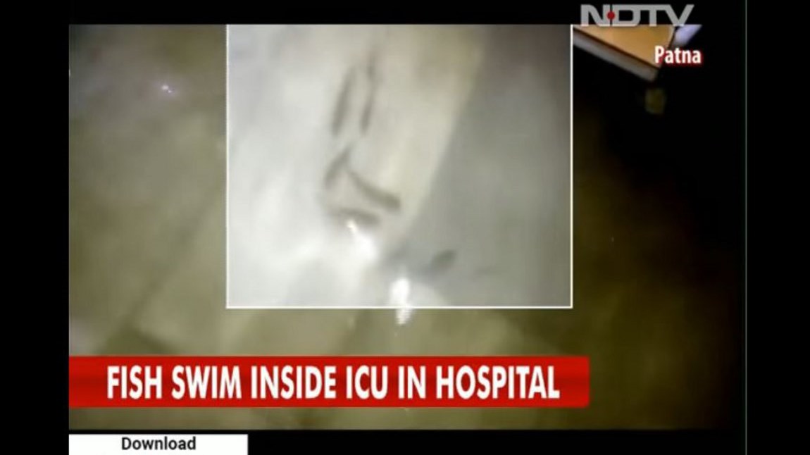 Ασύλληπτες εικόνες: Ψάρια κολυμπούν στους θαλάμους νοσοκομείων από τις πλημμύρες στην Ινδία – ΒΙΝΤΕΟ
