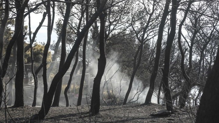 Πρώην γγ Πολιτικής Προστασίας: Αυτό που θα περίμενα ήταν να ακούσω εξαγγελίες που θα βοηθούσαν να εκλείψουν φαινόμενα αντίστοιχα με το Μάτι
