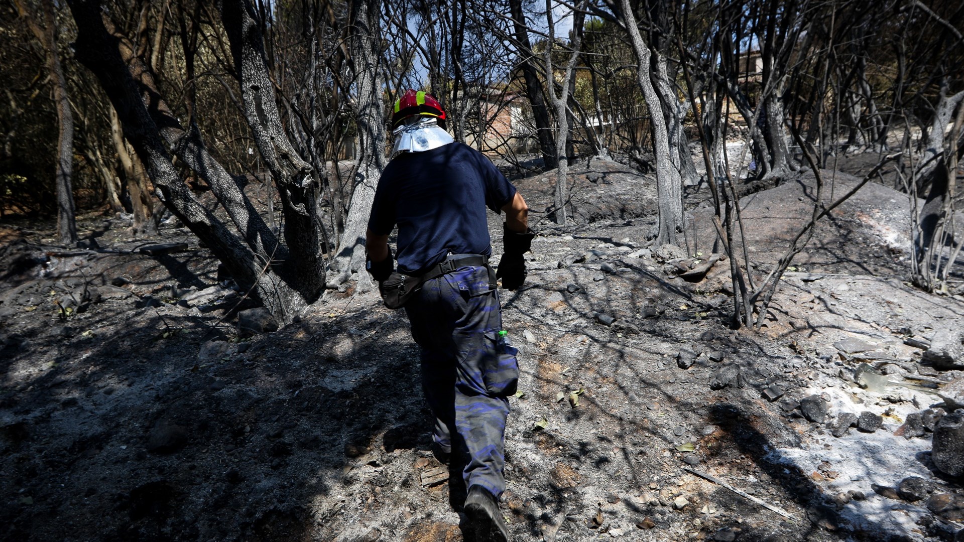 Ταυτοποιήθηκαν ακόμη 6 σοροί από την φονική πυρκαγιά στο Μάτι – ΤΩΡΑ