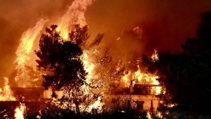 Δασοφύλακες: Η μάχη χάθηκε στην Πεντέλη – Δεν μπορούμε να παραβλέψουμε τις επιχειρησιακές ευθύνες