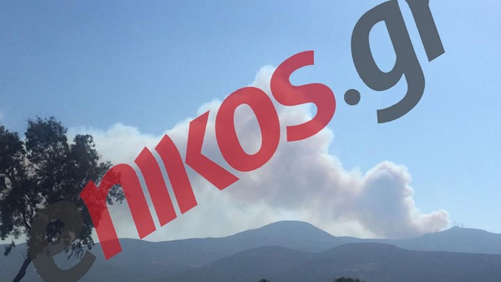 Οι πρώτες εικόνες από την αναζωπύρωση της φωτιάς στην Πάρο – ΦΩΤΟ αναγνώστη