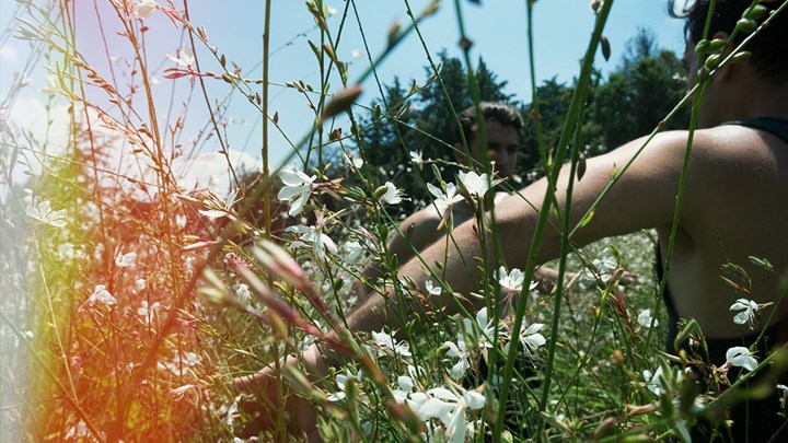 Τολμηρό «χτύπημα» στο Vault από τον Αντώνη Γαλέο