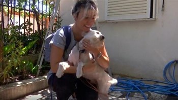 Παγκόσμια συγκίνηση για τον “Λουκουμάκη”, που σώθηκε από τη φονική φωτιά στο Μάτι – ΒΙΝΤΕΟ