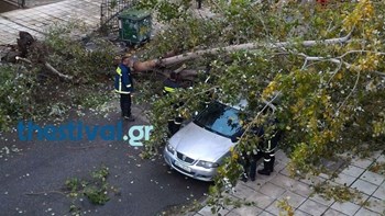 Πτώσεις δέντρων από την έντονη βροχόπτωση στη Θεσσαλονίκη