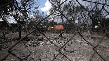 Άμεσες παρεμβάσεις για έργα στους Δήμους που έπληξε η πυρκαγιά δρομολογεί η Περιφέρεια Αττικής