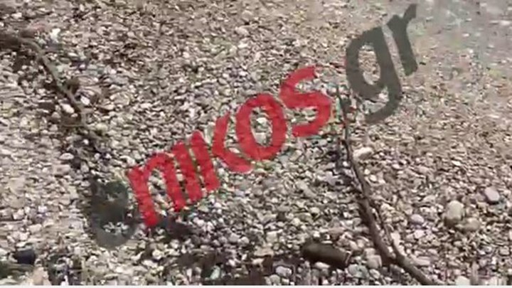 Τα αποκαΐδια της Κινέτας έφθασαν μέχρι την παραλία των Αγίων Θεοδώρων – ΒΙΝΤΕΟ αναγνώστη