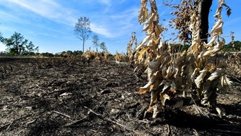 EUobserver: Η κλιματική αλλαγή δείχνει το μέλλον της Ευρώπης