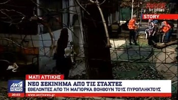Αμερικανοί και Ευρωπαίοι εθελοντές στο πλευρό των πυρόπληκτων της ανατολικής Αττικής – ΒΙΝΤΕΟ