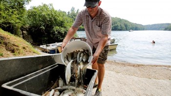 Ελβετία: Ένας τόνος ψάρια ανασύρθηκαν νεκρά από τον Ρήνο