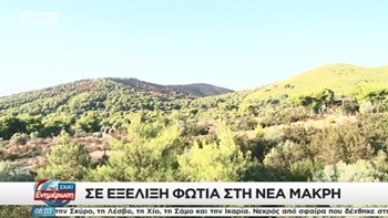 Σε εξέλιξη η πυρκαγιά στη Νέα Μάκρη