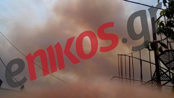 Πυρκαγιά στα Μέγαρα – ΦΩΤΟ αναγνώστη