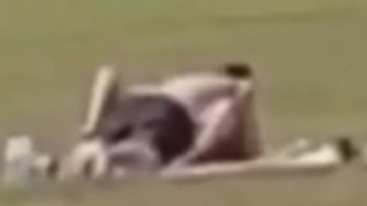 Ζευγάρι έκανε σεξ στη μέση του πάρκου με θεατές παιδιά – Τους επιτέθηκε ένας πατέρας – ΒΙΝΤΕΟ