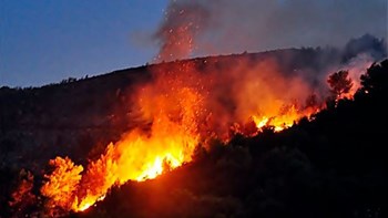 Σε εξέλιξη δύο πύρινα μέτωπα στη Ζάκυνθο – Έφτασαν ενισχύσεις από την Πελοπόννησο