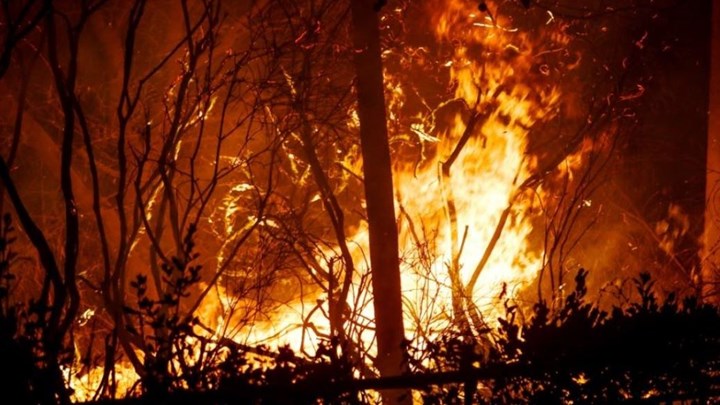 Υπό έλεγχο η φωτιά στην Άρλα Αχαΐας