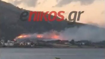 Σε εξέλιξη η πυρκαγιά στη Σαρωνίδα – ΒΙΝΤΕΟ αναγνώστη