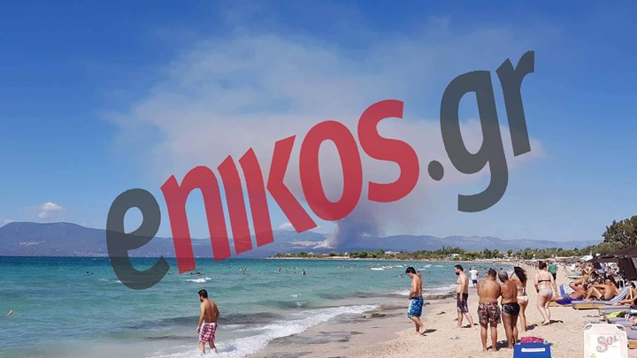 «Μαύρο» σύννεφο καπνού έχει καλύψει παραλία της Χαλκίδας από τη μεγάλη φωτιά στην Εύβοια – ΦΩΤΟ αναγνώστη