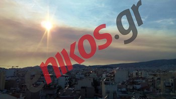 Η φωτιά στην Εύβοια όπως φαίνεται από την Νίκαια – ΦΩΤΟ Αναγνώστη