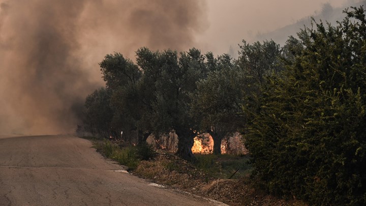Νεότερη ενημέρωση της Πυροσβεστικής για το πύρινο μέτωπο στην Εύβοια – ΦΩΤΟ