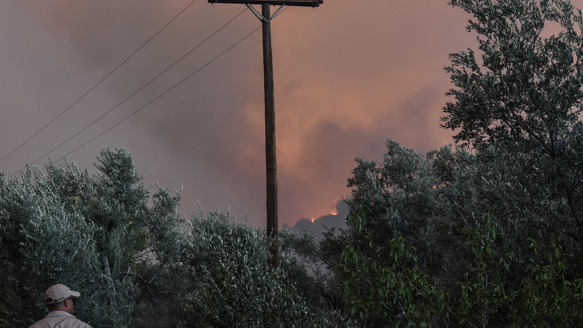 Ολονύκτια μάχη με τις φλόγες στην Εύβοια – Παραμένουν εκκενωμένα τα χωριά Κοντοδεσπότι και Σταυρός – ΦΩΤΟ