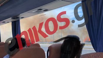 Συναγερμός στα Μέγαρα από την εκδήλωση πυρκαγιάς – ΦΩΤΟ αναγνώστη