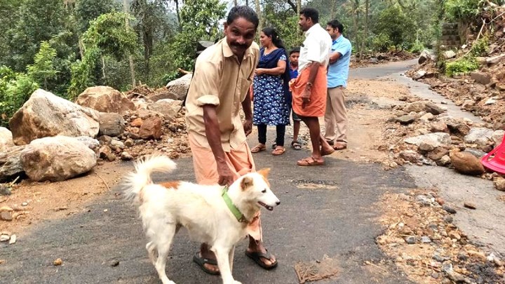 Το γάβγισμα του σκύλου αποδείχθηκε σωτήριο για οικογένεια στην Ινδία
