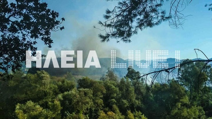 Συναγερμός στην Πυροσβεστική: Φωτιά στην περιοχή Διάσελλα Ηλείας – ΤΩΡΑ