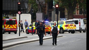 Αυτή την κατηγορία αντιμετωπίζει ο 29χρονος για την επίθεση έξω από το βρετανικό κοινοβούλιο